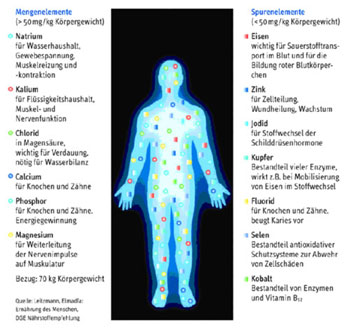 Mengen- und Spurelemente im menschlichen Körper, Schema